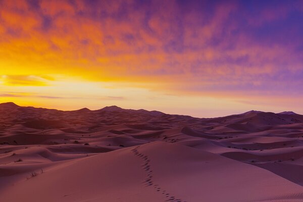 Naturaleza en el desierto. Horizonte nublado en verano