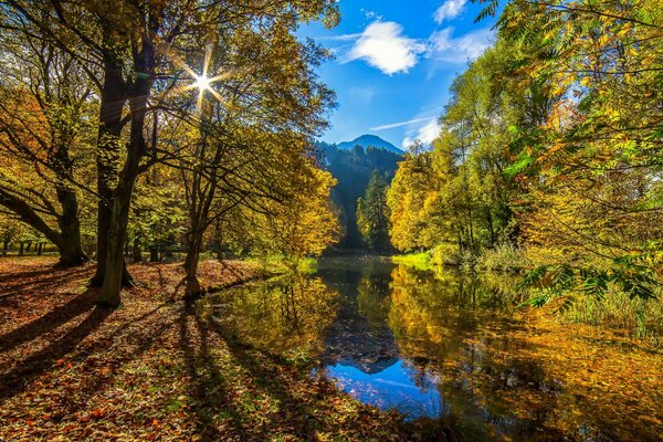 Soleil d automne sur la rivière bleue