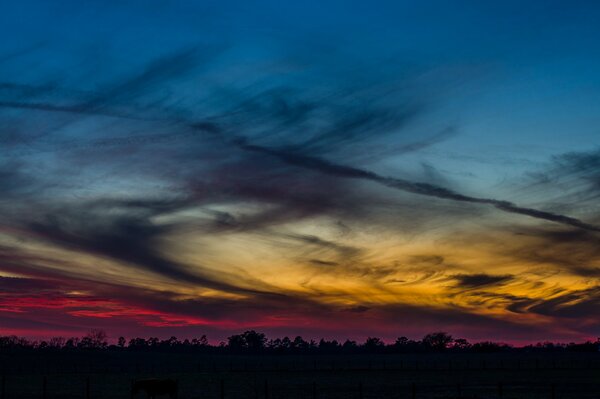 Spettacolare tramonto serale sulla foresta