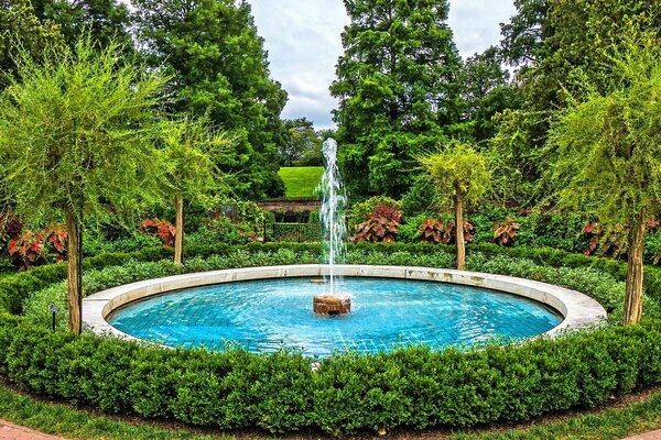 Beautiful fountain inside the green garden