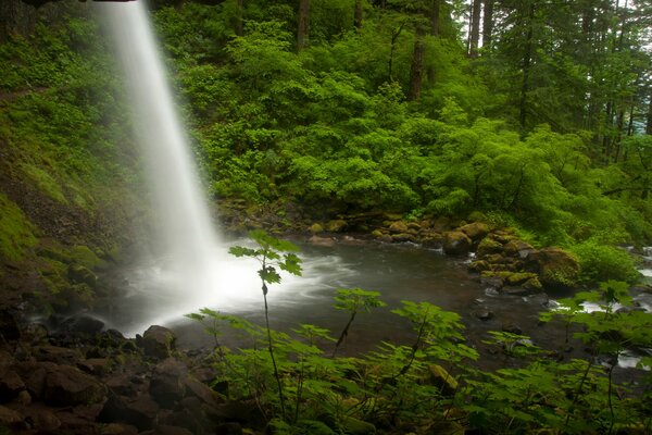 La force et la vitesse de l Oregon Falls