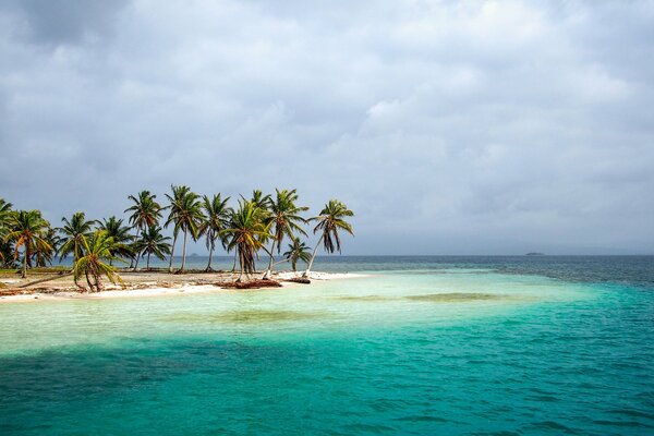 Les côtes du Panama sont des côtes exceptionnelles, des palmiers et de la mer