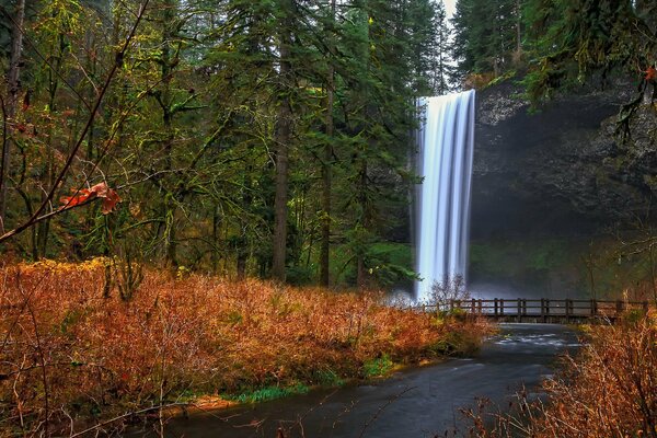 Hermosa cascada en el bosque. Puente sobre el río