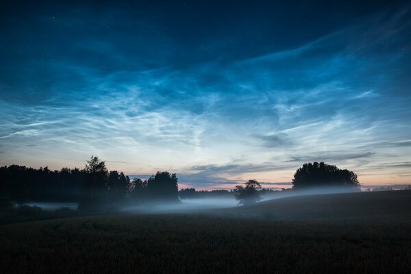 La nebbia della sera incontra l alba