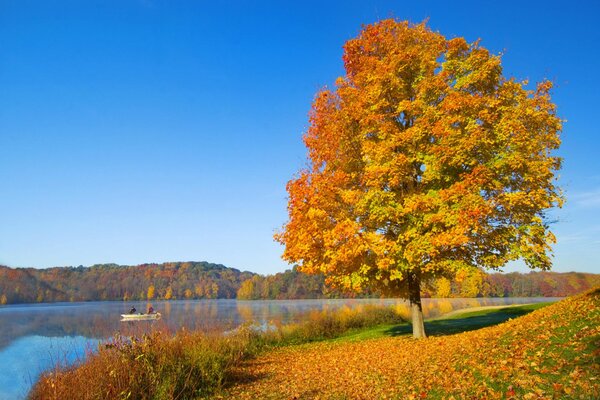 Die Sorglosigkeit des Herbstes am Seeufer