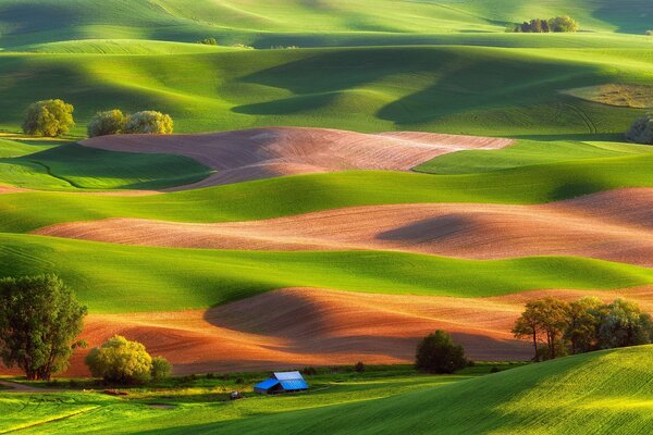 Il parco statale degli Stati Uniti stpepto batte dove la bellezza giace come tappeti colorati