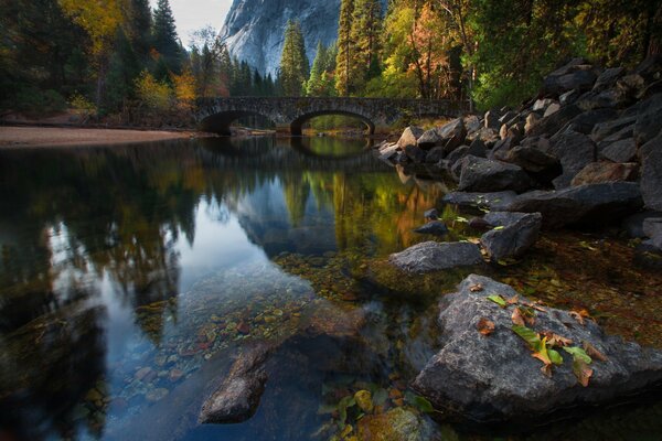 Nature with a river in the forest . Autumn bridge with trees 