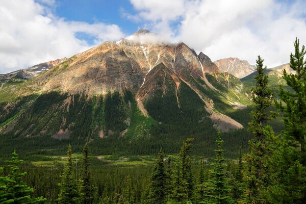 Montagne piramidali nel parco nazionale canadese di Jasper