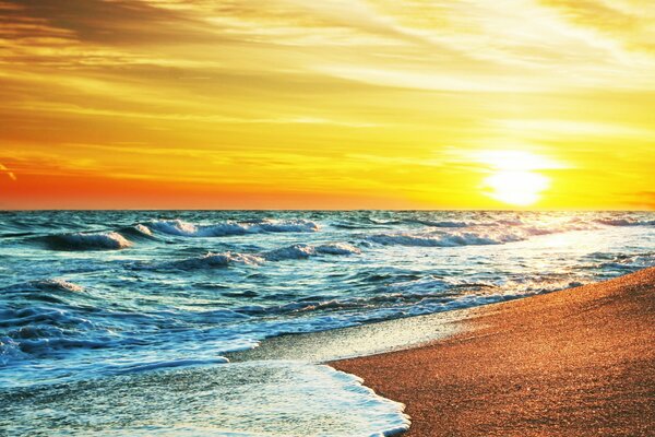 Summer sunset on the seashore