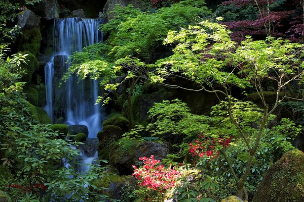 Wasserfall auf dem Hintergrund von grünem Laub und Blumen