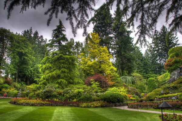 Dense coniferous forest and flower beds in the park