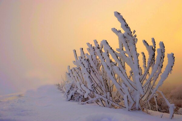 Winter landscapes of incredible beauty