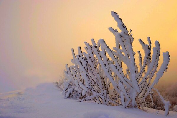 Paisajes de invierno de increíble belleza