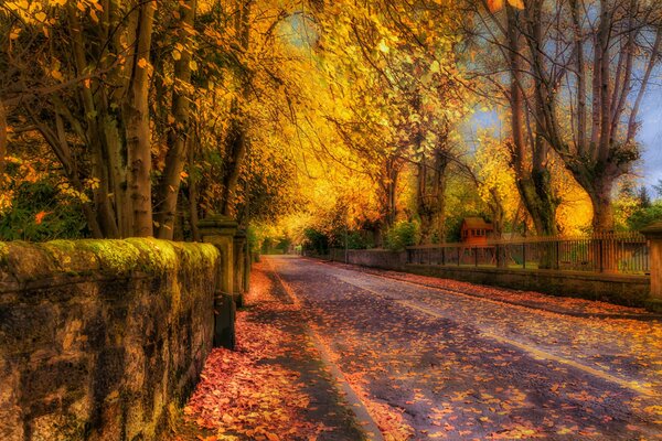 The road through the fabulous autumn forest