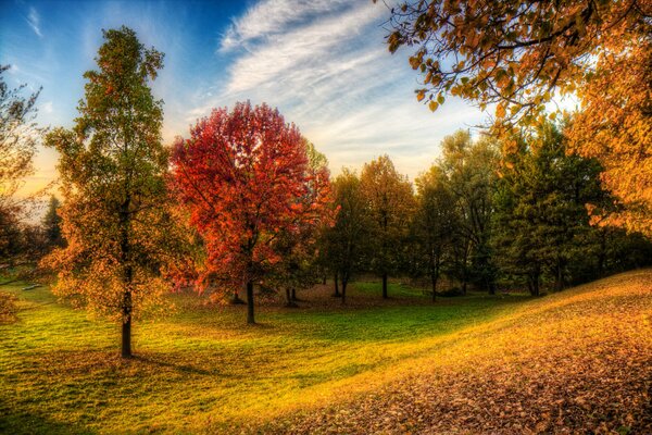 Herbstmärchen eines kühlen Abends