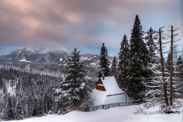 Cabaña cubierta de nieve en las montañas y el bosque de abetos