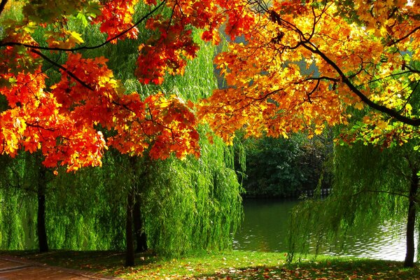 Schöne Natur. Sommer trifft Herbst