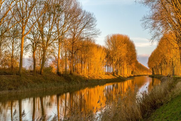 Reflejo de los árboles y el cielo en las aguas del canal