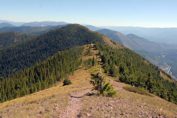 Bellissimo paesaggio sullo sfondo delle montagne