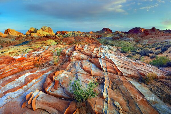 Wallpaper for female workers table with rocks