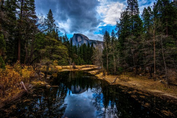 Mountain river in the autumn forest