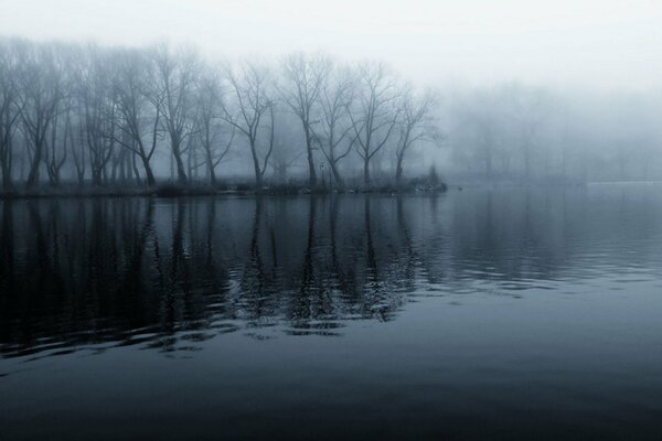 Îlot avec des arbres nus dans le brouillard sur la rivière