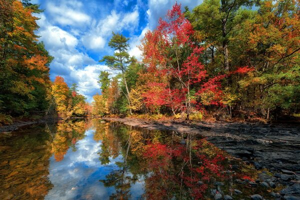 Herbstlandschaft von Bäumen, die sich im See widerspiegeln