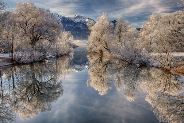 Espejo lago de invierno en la escarcha