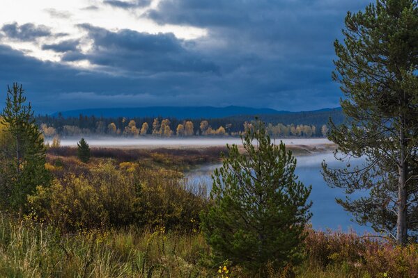 Lago en el bosque. Niebla de la tarde