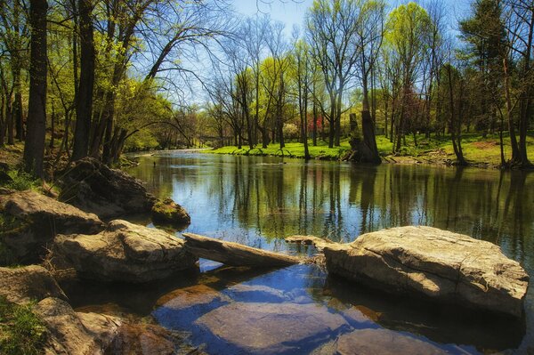 Frühlingsfluss umgeben von Steinen und Gras