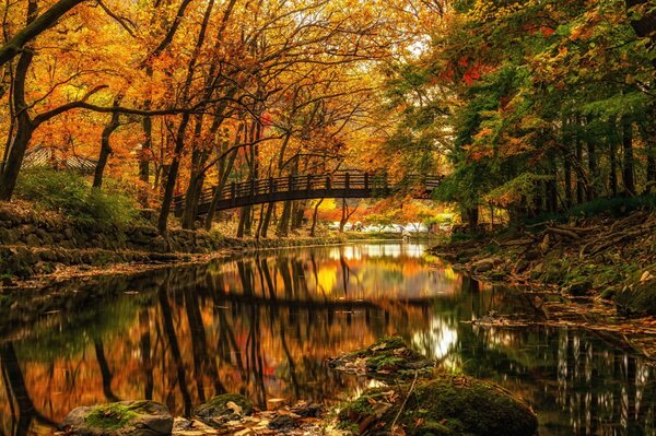 Jesienny park. Piękny most na rzece