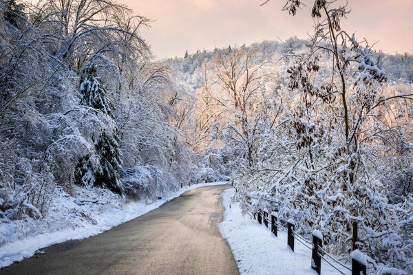 Paisaje de invierno con un camino cubierto de nieve