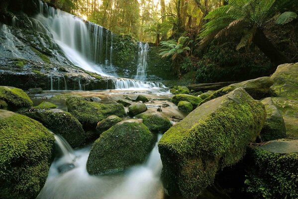 Steine im Moos am Wasserfall