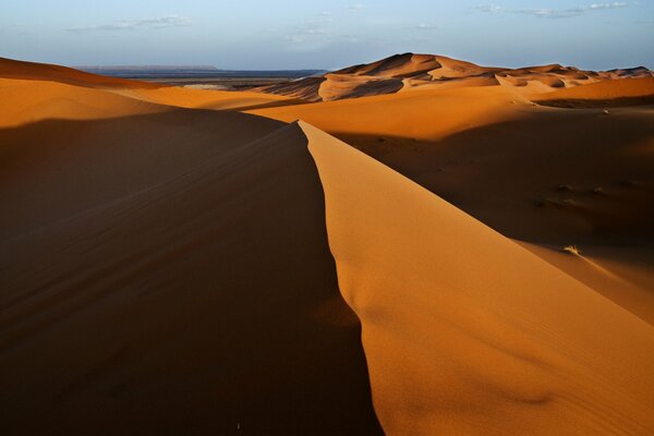 Высокие дюны в желтой пустыне
