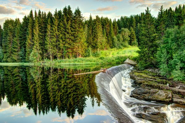 Tropfender Wasserfall im Wald. Sommerlandschaften