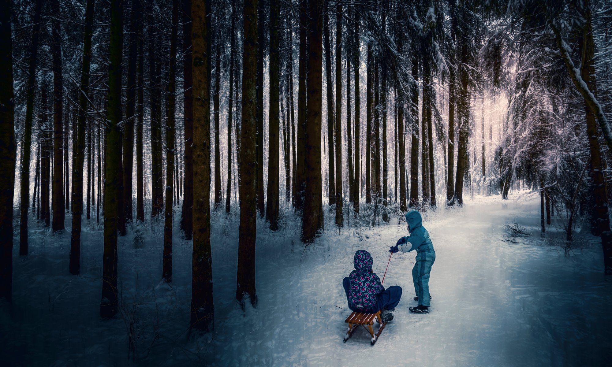 foresta invernale bambini slitte movimentazione