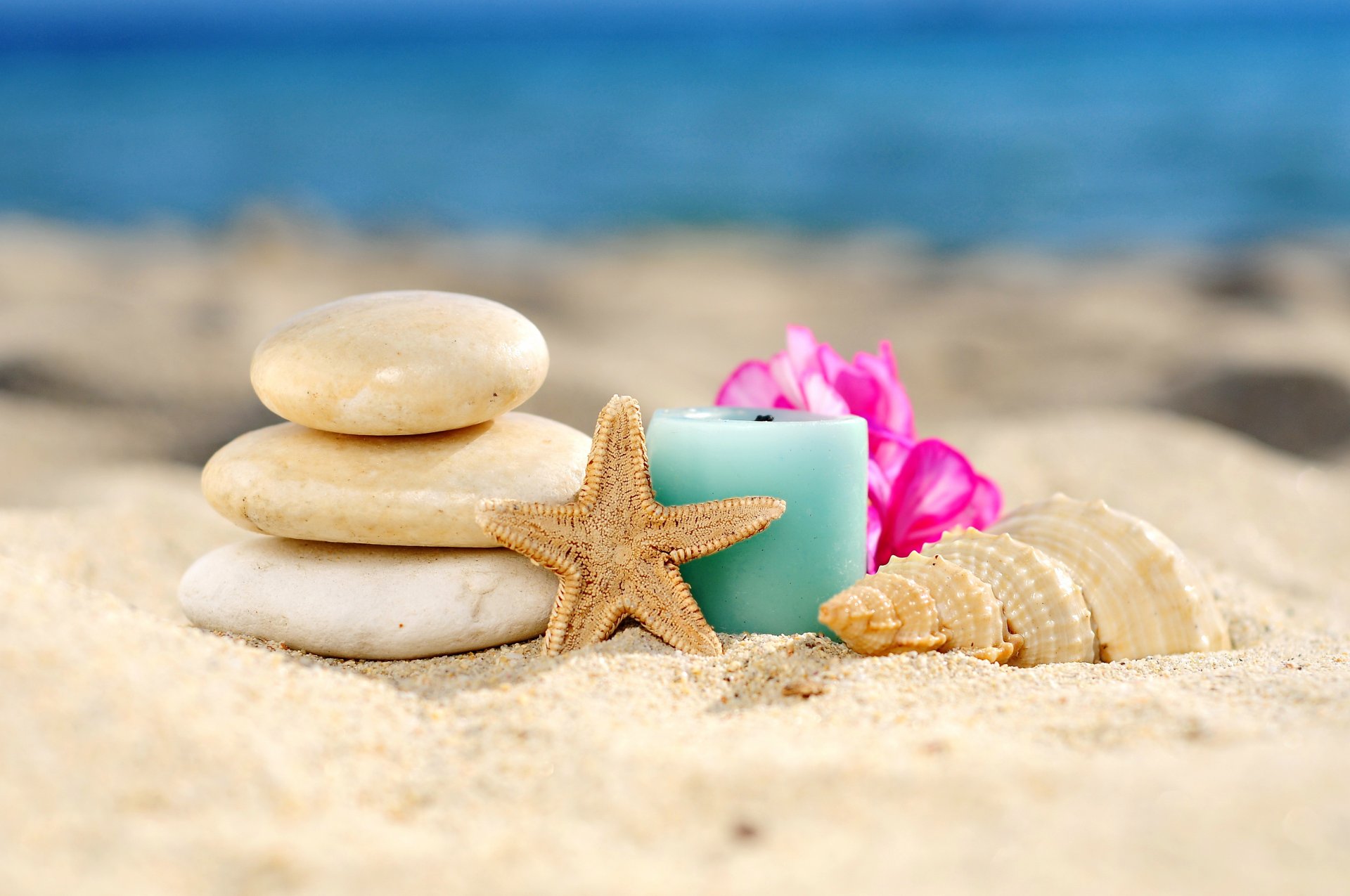 coquillages étoiles sable plage spa bougies se détendre coquillage pierres