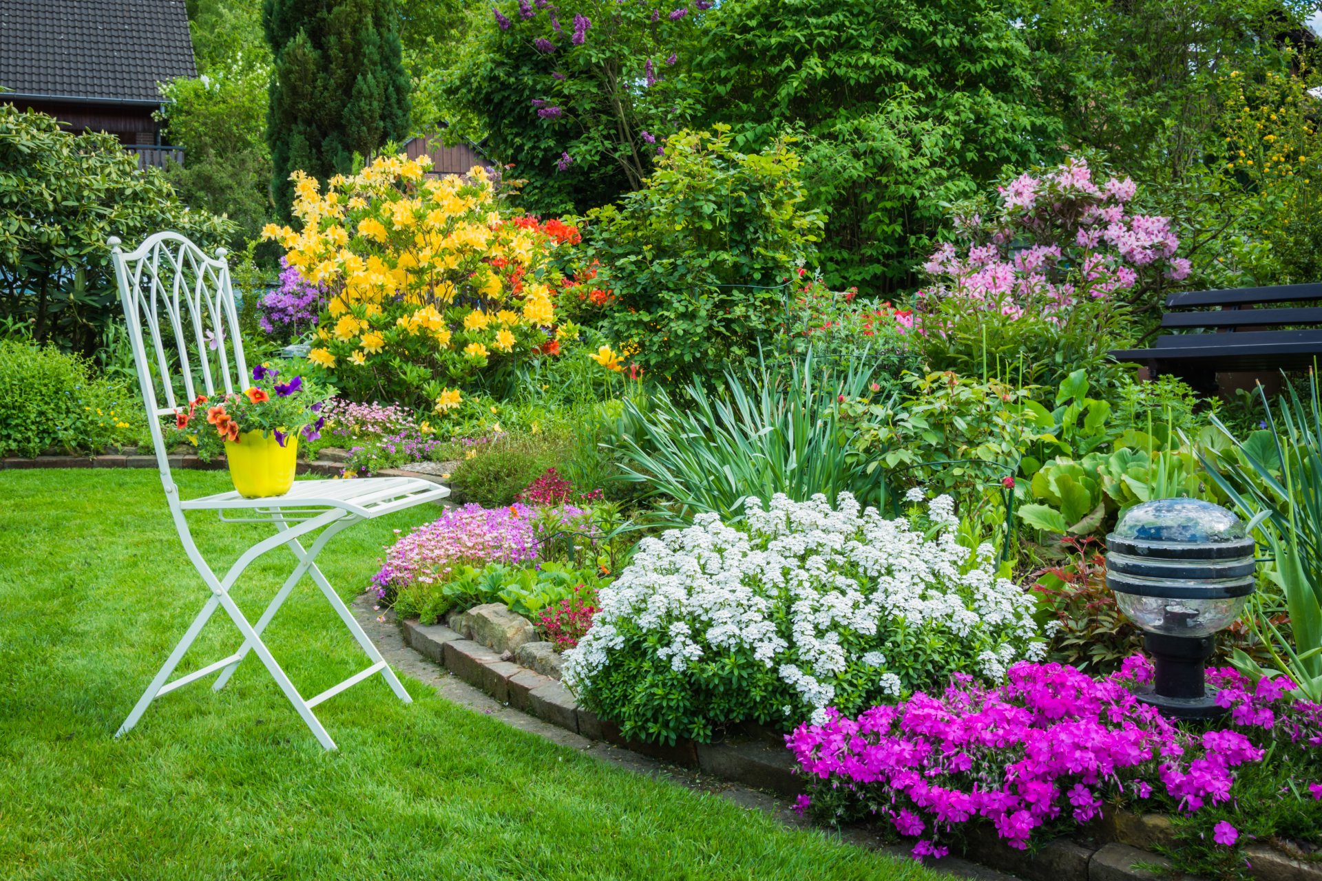 natura aiuola fiori paesaggio