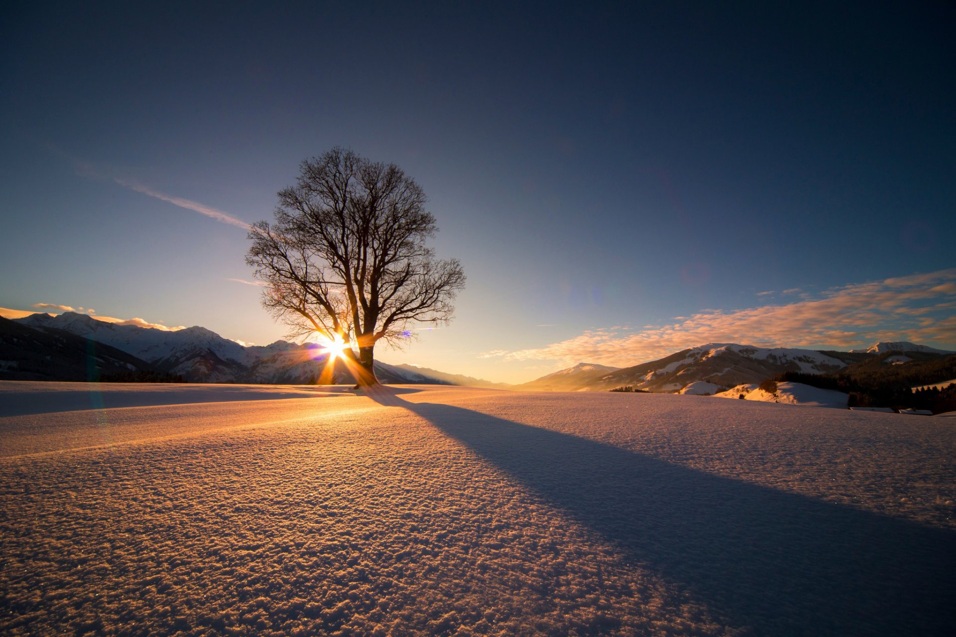 österreich winter schnee baum sonne