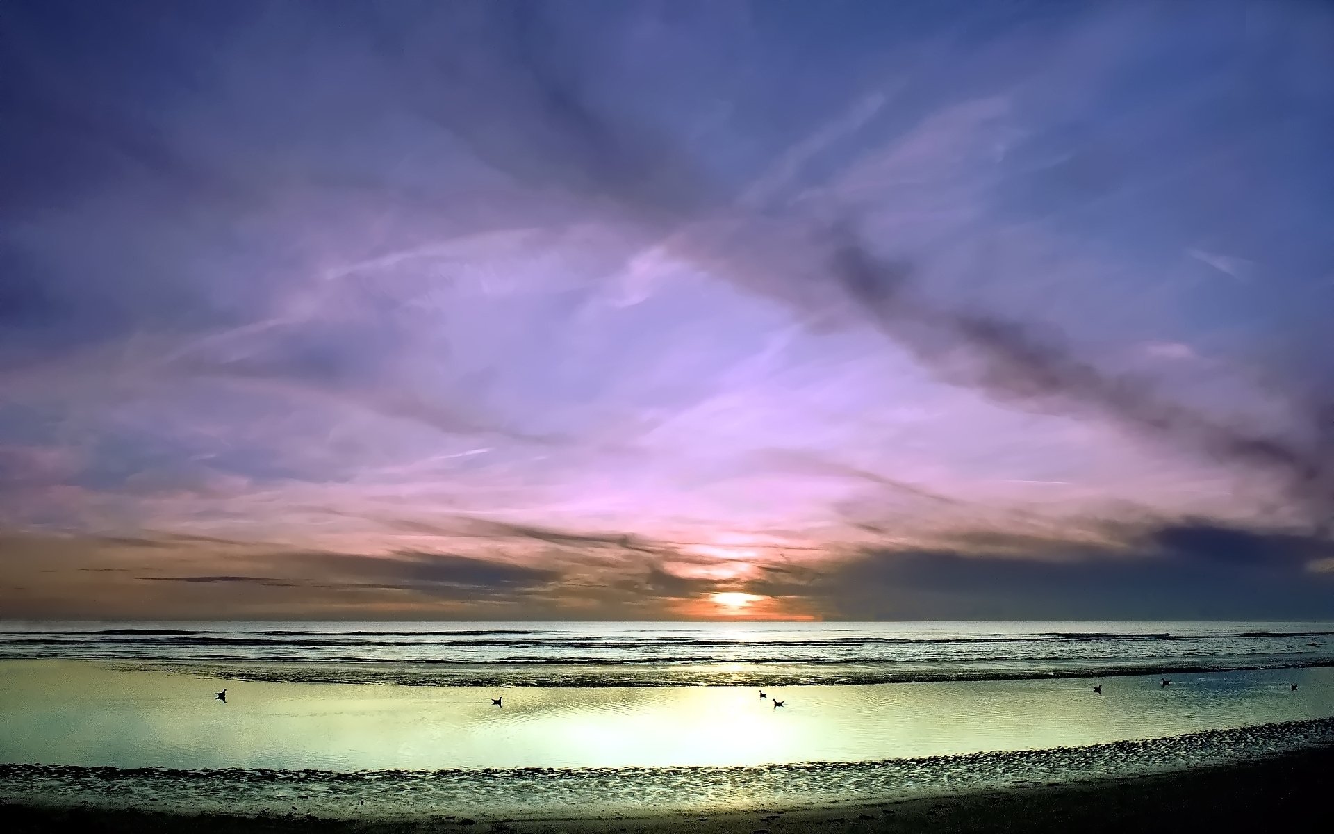 unset sea sky beach waves bird