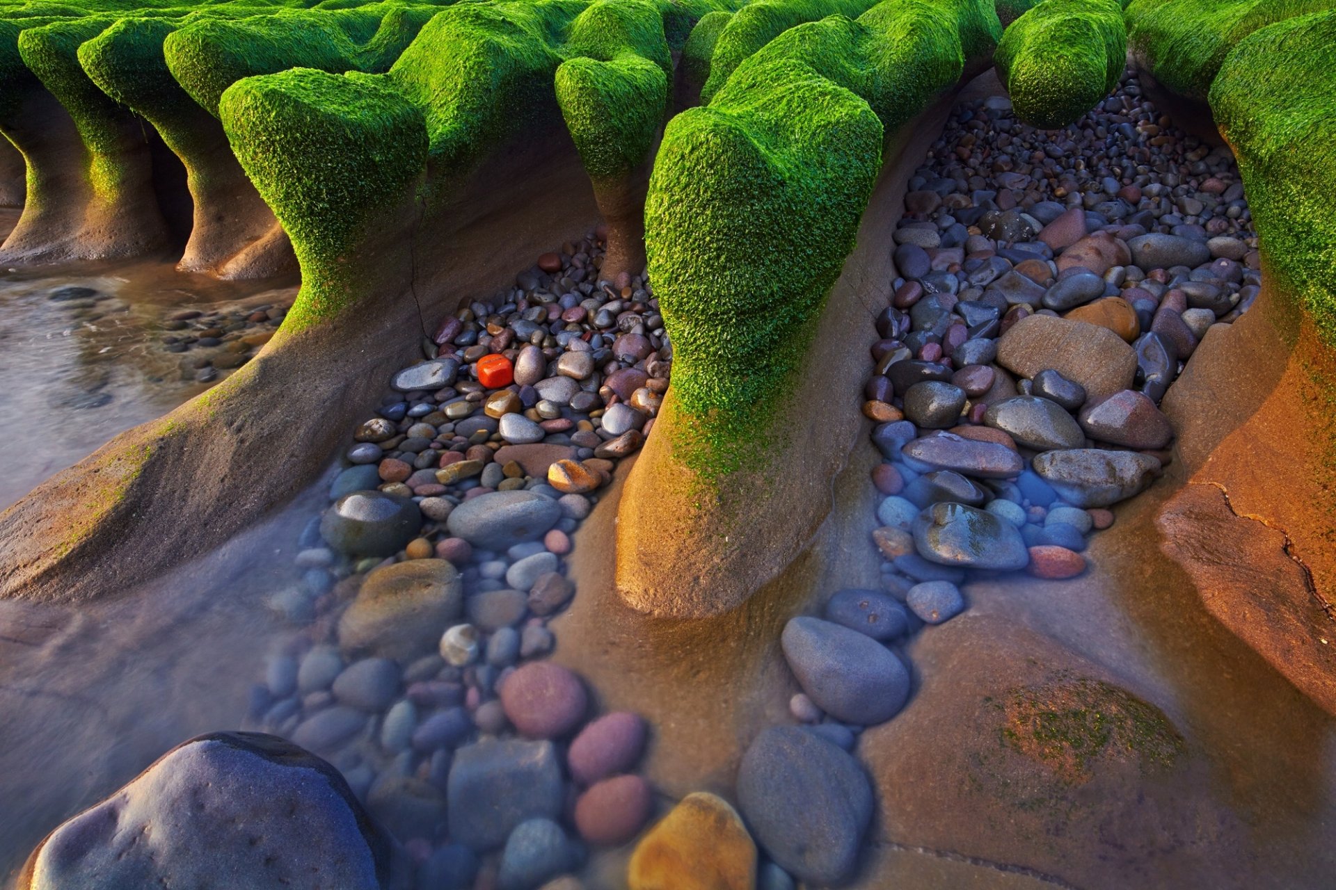 côte mer pierres. herbes marines