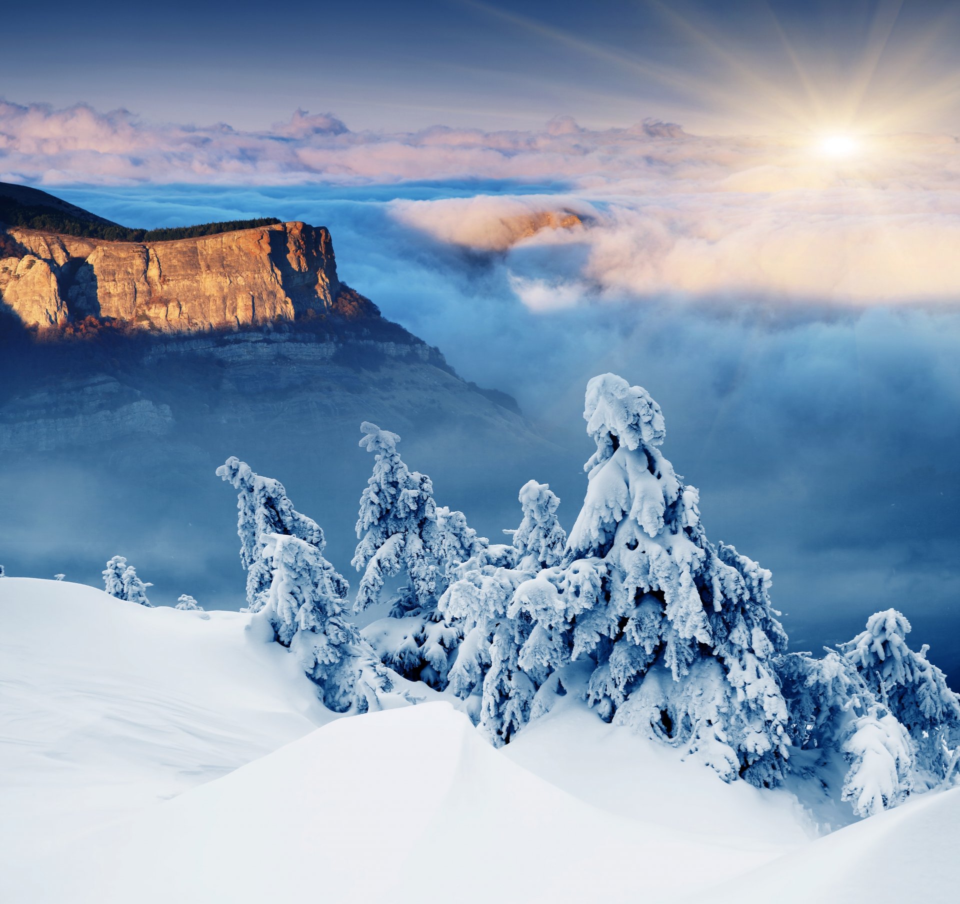 inverno paesaggio neve inverno albero di natale sole montagna