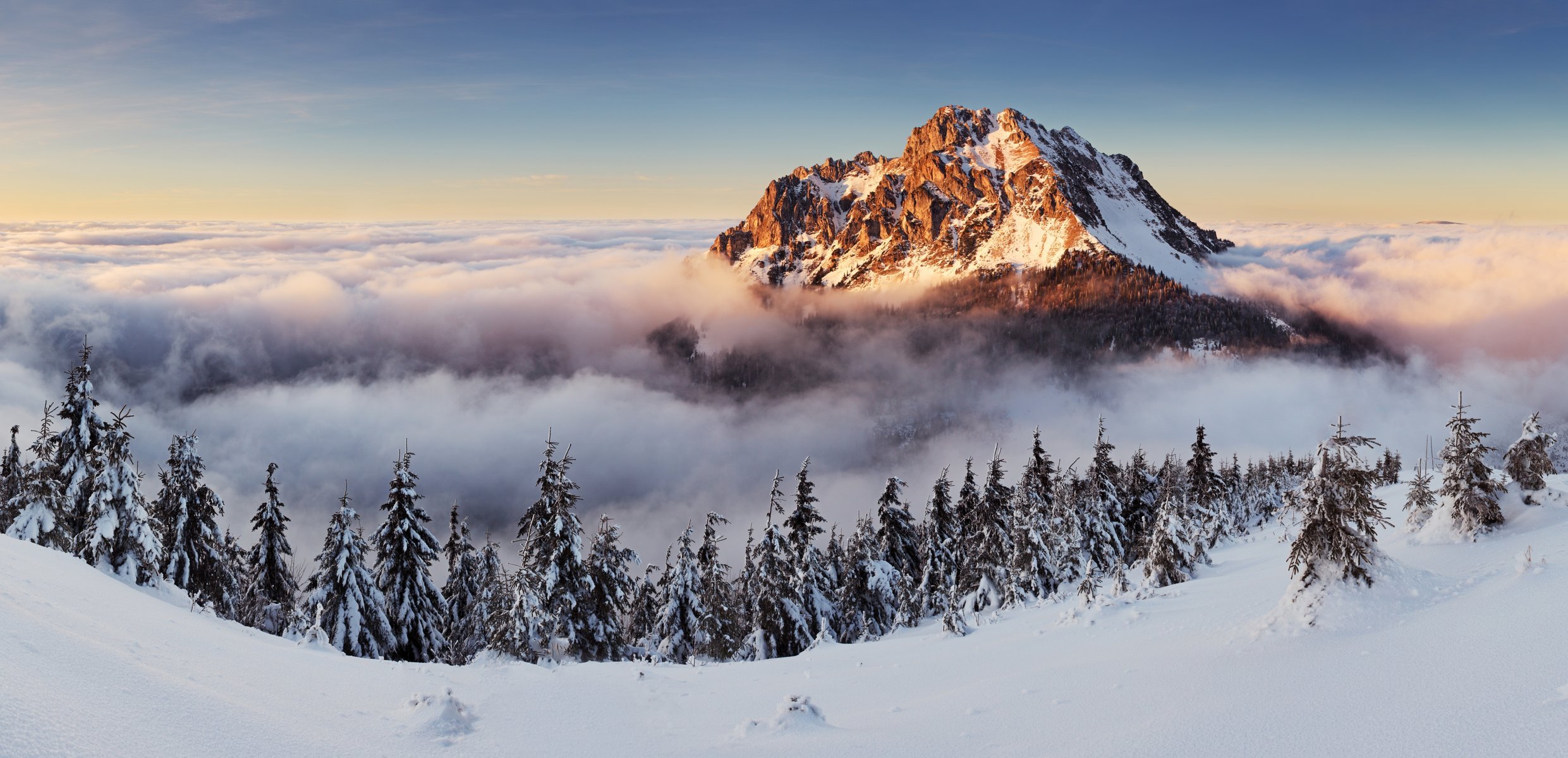 winter landschaft schnee winter berge nebel