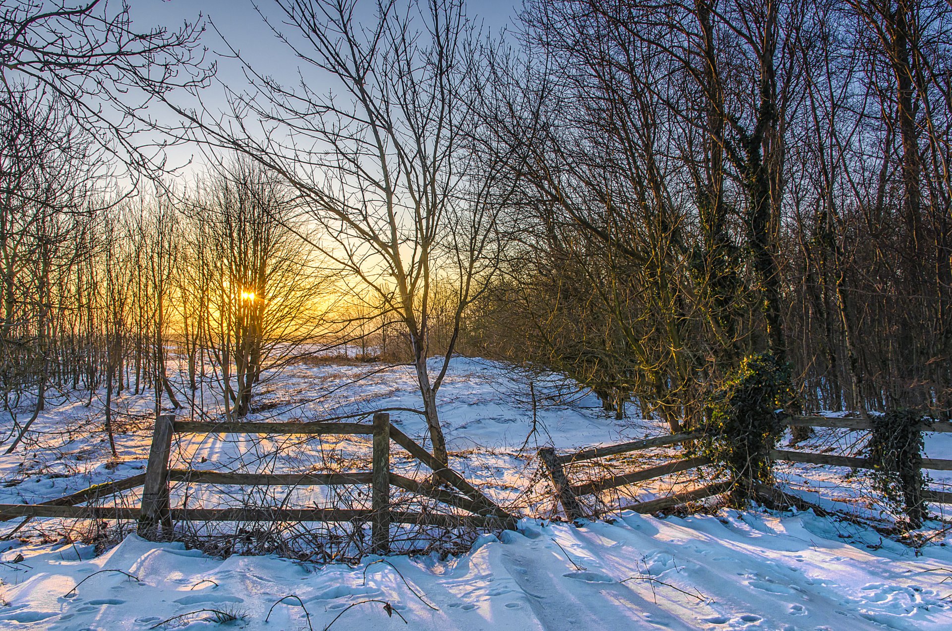 hiver neige arbres clôture soleil coucher de soleil