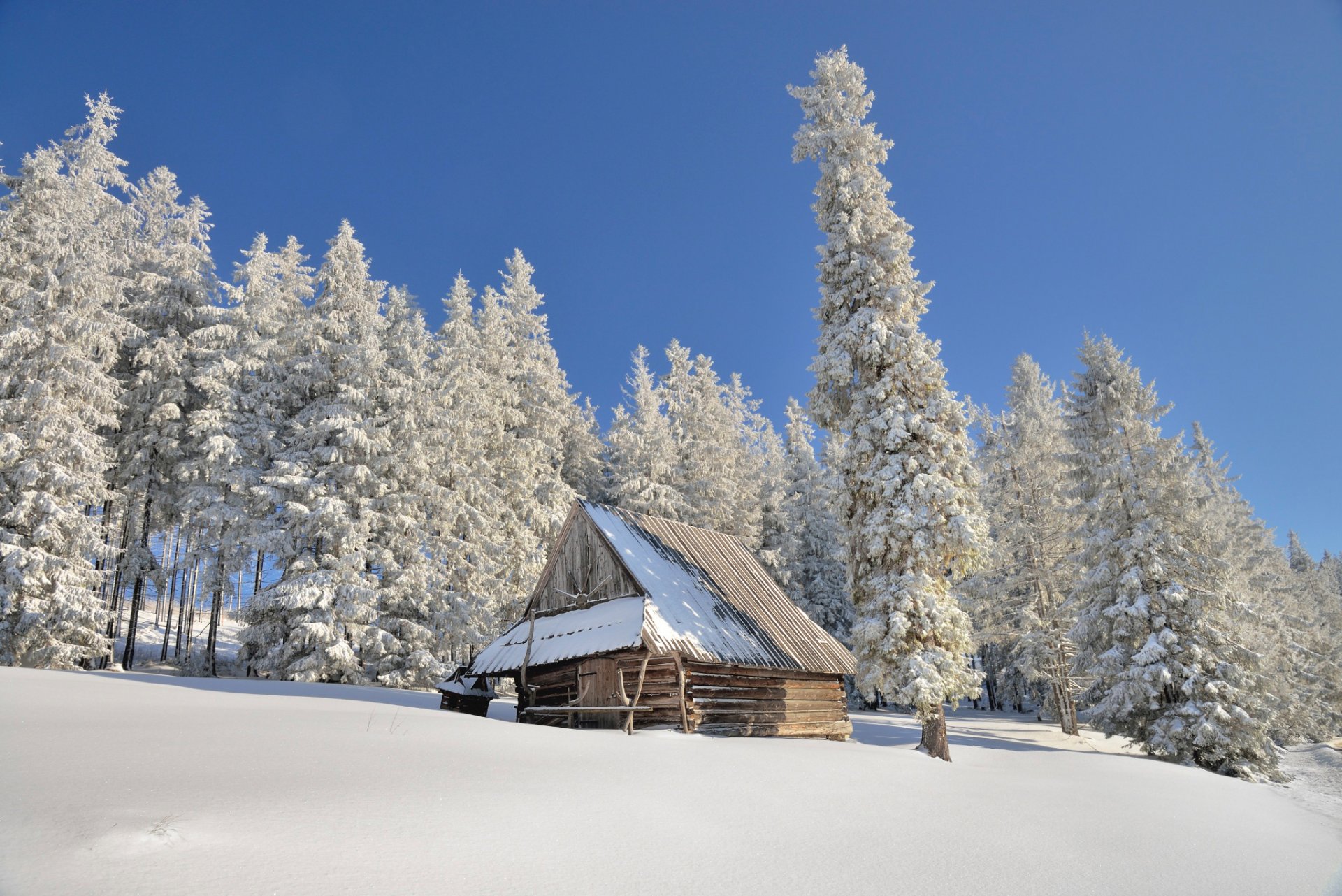 poland winter snow sun the shed