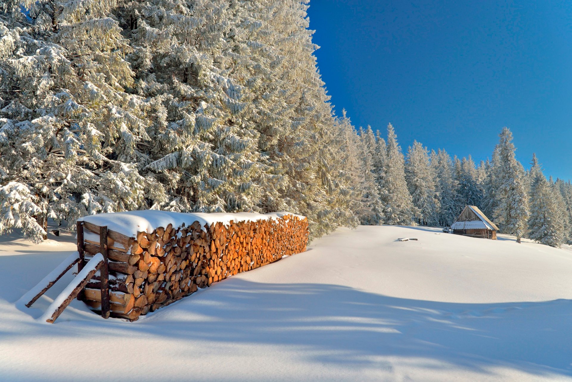 tatra bois de chauffage neige hiver soleil jour