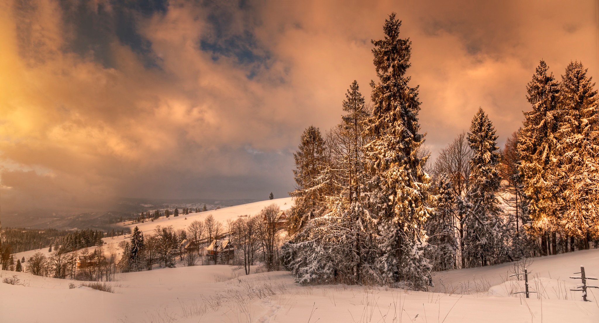 zakopane polonia invierno nieve