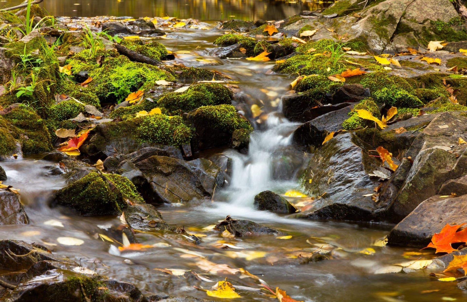 friendship creek leicester park duluth minnesota arroyo río piedras hojas otoño