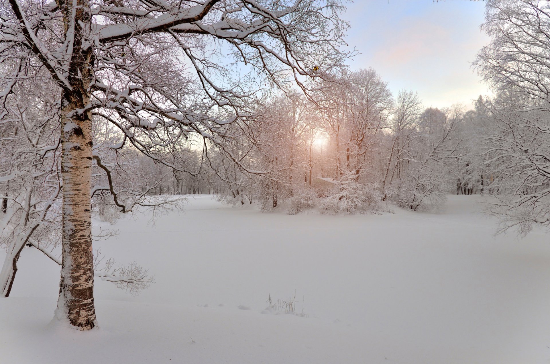 winter schnee morgen russland puschkin