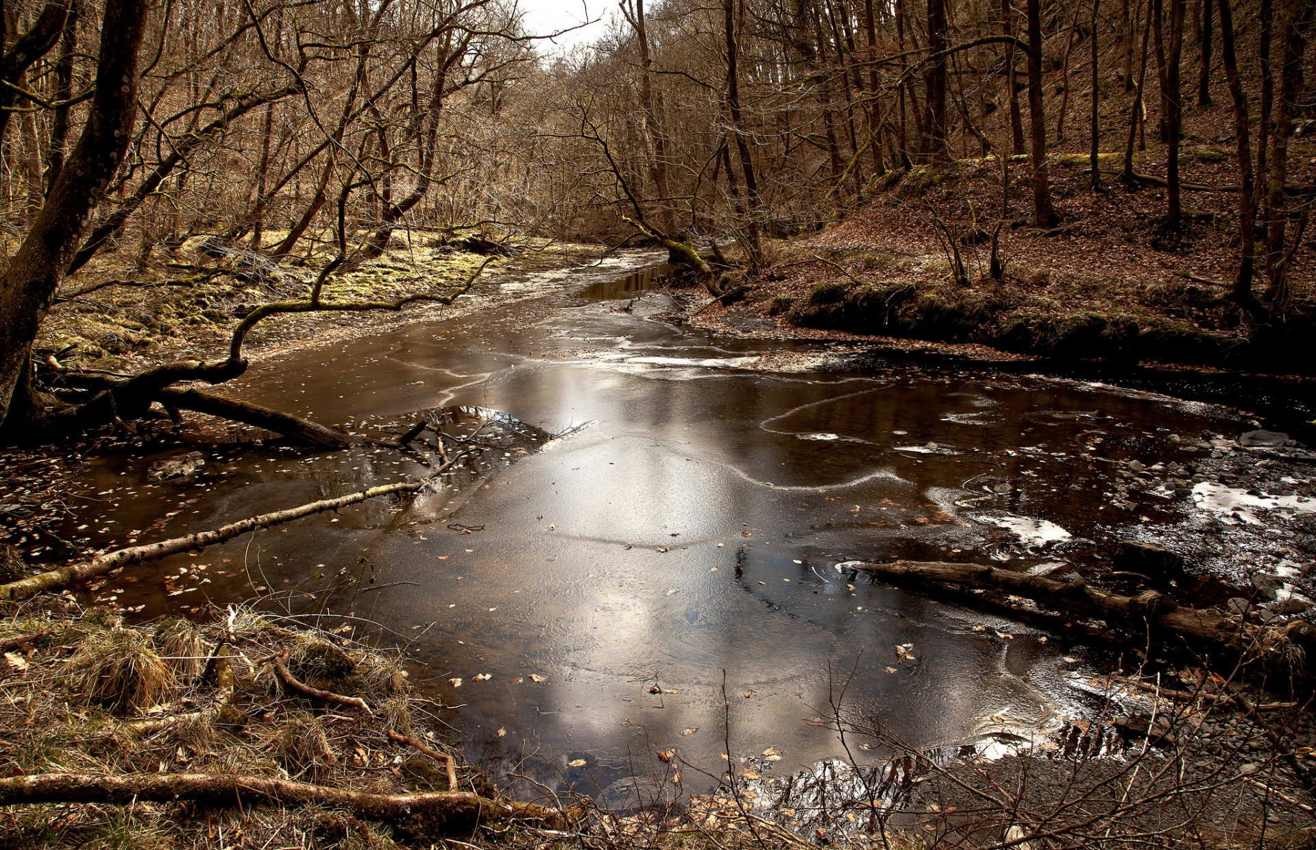 forêt rivière glace automne fin